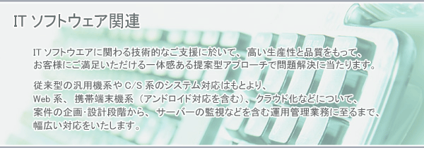 ITソフトウェア関連